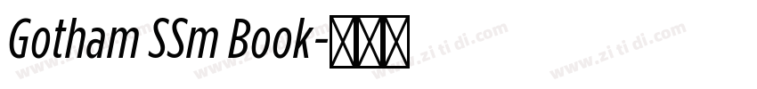 Gotham SSm Book字体转换